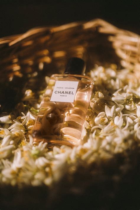 la fleur d'oranger de chanel|Chanel met la fleur d'oranger à l'honneur au coeur de .